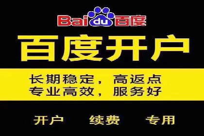 百度推广托管成功案例，揭秘低成本高回报策略